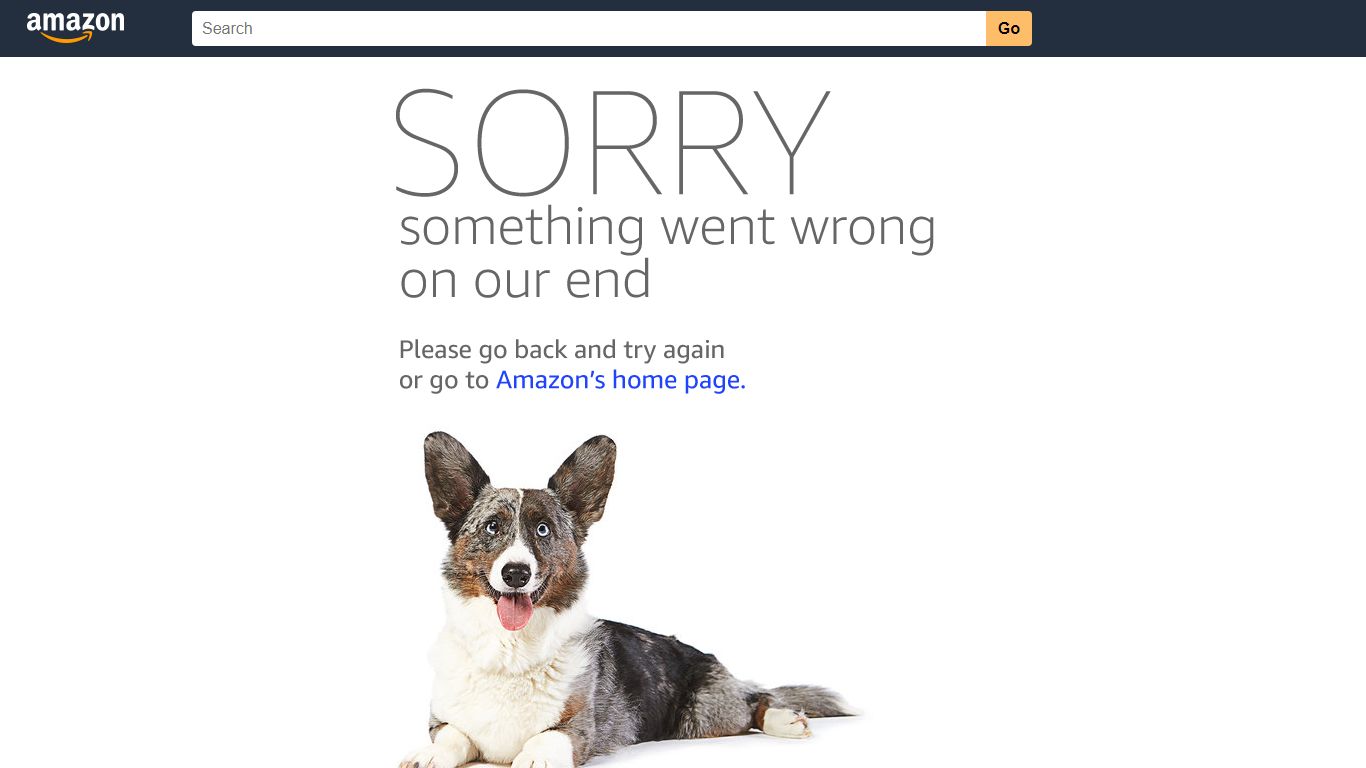 Amazon.com: Search and Find